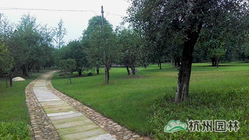 电竞比赛押注app