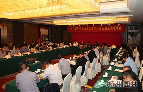 电竞比赛押注app