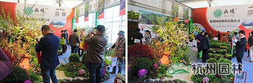 电竞比赛押注app