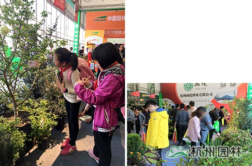 电竞比赛押注app