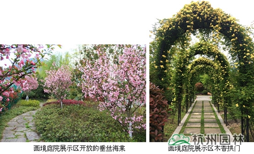 电竞比赛押注app