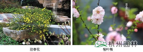 电竞比赛押注app