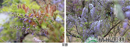 电竞比赛押注app