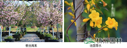 电竞比赛押注app