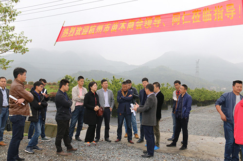 电竞比赛押注app