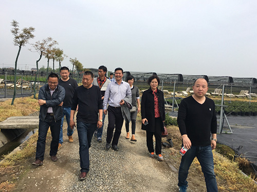 电竞比赛押注app