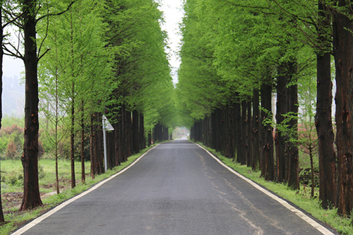 电竞比赛押注app