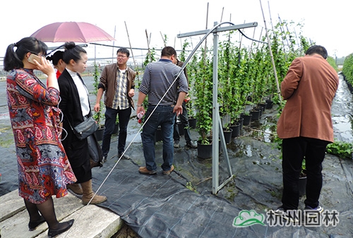 电竞比赛押注app