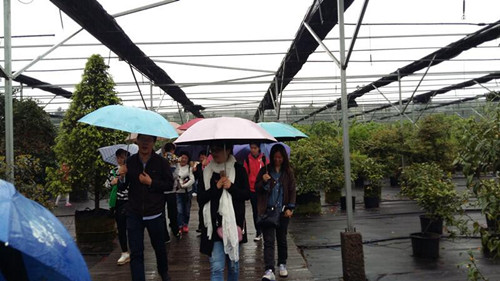 电竞比赛押注app