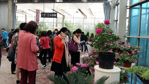 电竞比赛押注app