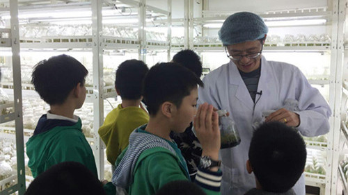 电竞比赛押注app