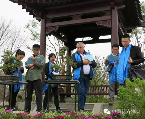 电竞比赛押注app