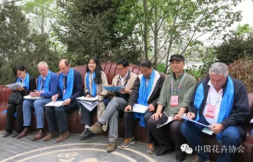 电竞比赛押注app