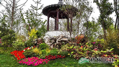 电竞比赛押注app