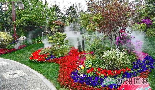 电竞比赛押注app