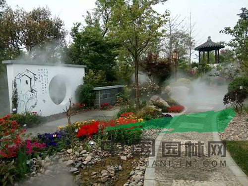 电竞比赛押注app