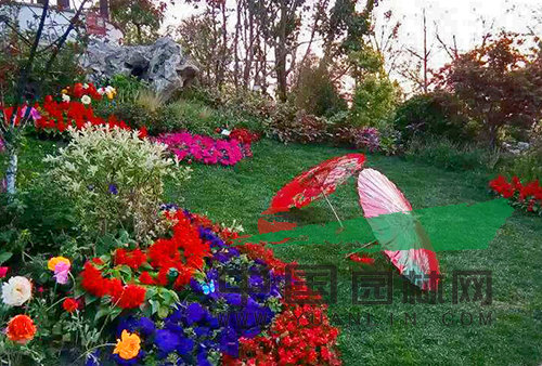 电竞比赛押注app