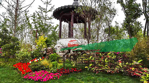 电竞比赛押注app