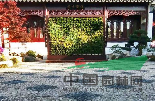 电竞比赛押注app