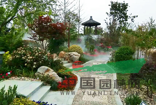 电竞比赛押注app