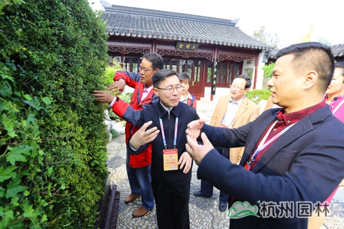 电竞比赛押注app