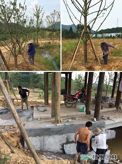 电竞比赛押注app