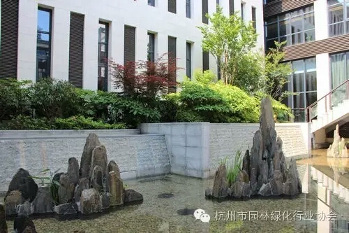 电竞比赛押注app