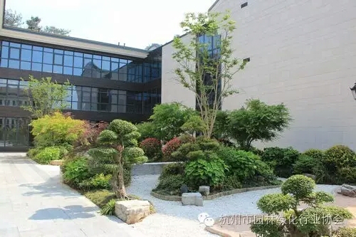 电竞比赛押注app