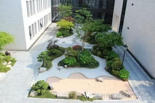 电竞比赛押注app