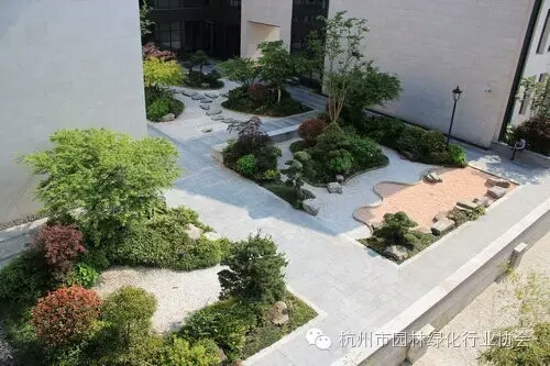 电竞比赛押注app