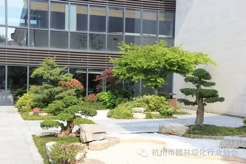 电竞比赛押注app