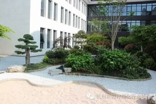 电竞比赛押注app