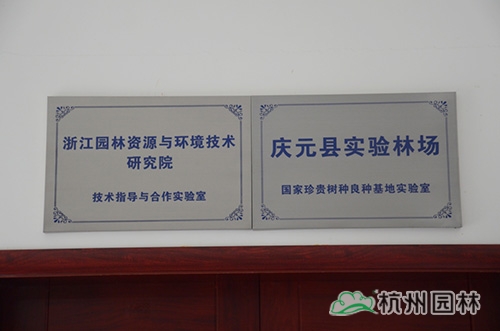 电竞比赛押注app