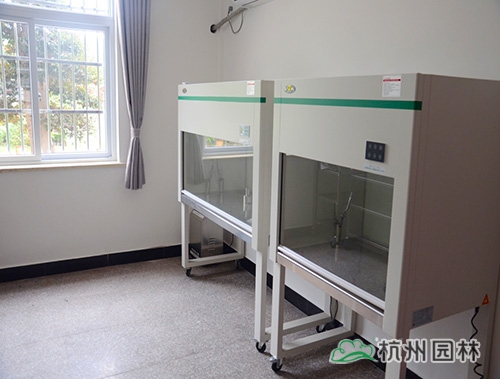 电竞比赛押注app