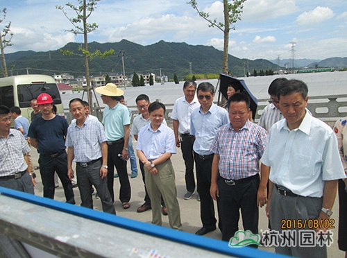 电竞比赛押注app