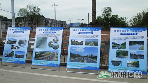 电竞比赛押注app