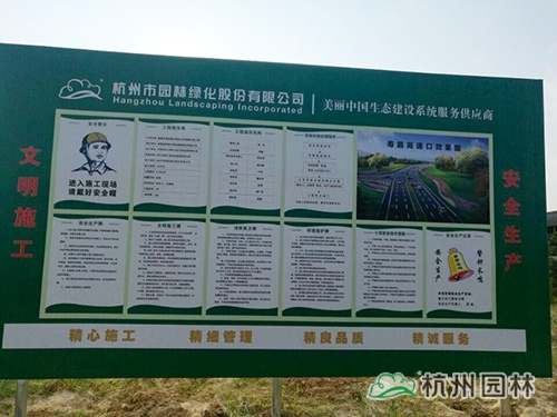 电竞比赛押注app