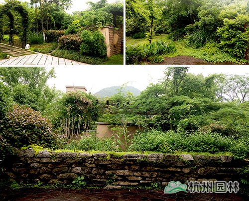 电竞比赛押注app