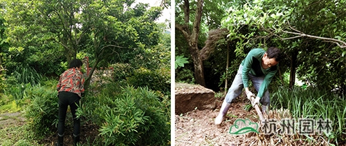 电竞比赛押注app