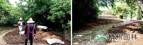 电竞比赛押注app