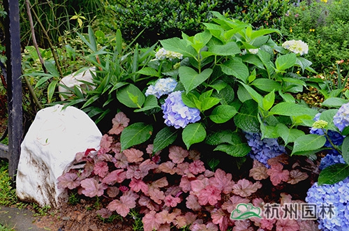 电竞比赛押注app