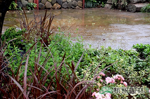 电竞比赛押注app