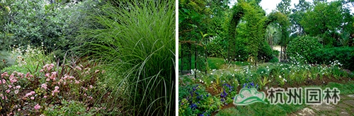 电竞比赛押注app