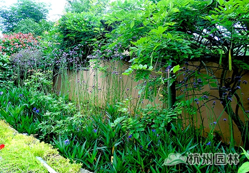 电竞比赛押注app