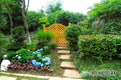 电竞比赛押注app