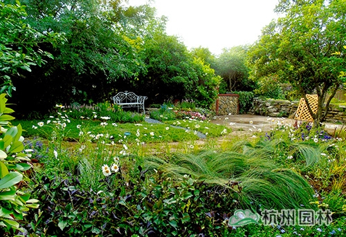 电竞比赛押注app