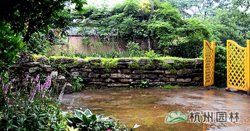 电竞比赛押注app