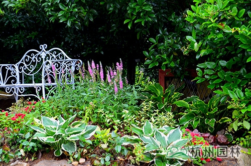 电竞比赛押注app