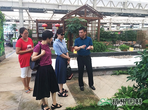 电竞比赛押注app