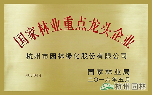 电竞比赛押注app